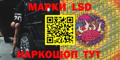 apvp Ипатово
