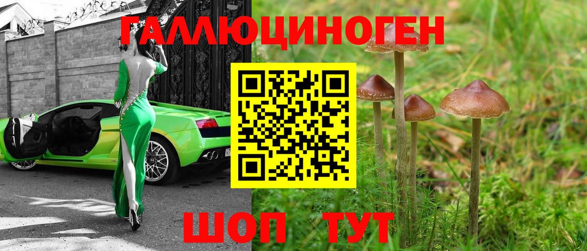 Галлюциногенные грибы GOLDEN TEACHER Лабинск