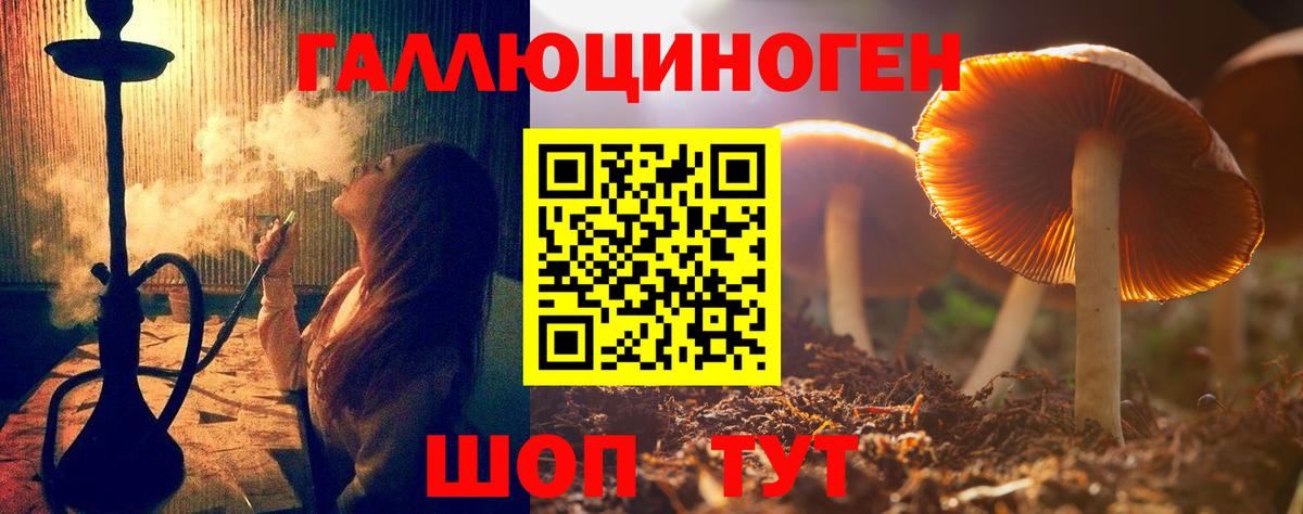 Псилоцибиновые грибы Cubensis  даркнет сайт  Лабинск  Вход с VPN  Галлюциногенные грибы Psilocybe 